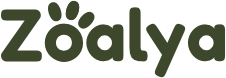 Zoalya